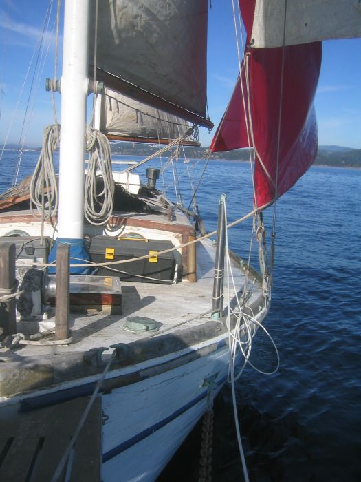gal/New Boat/IMG_3838.jpg